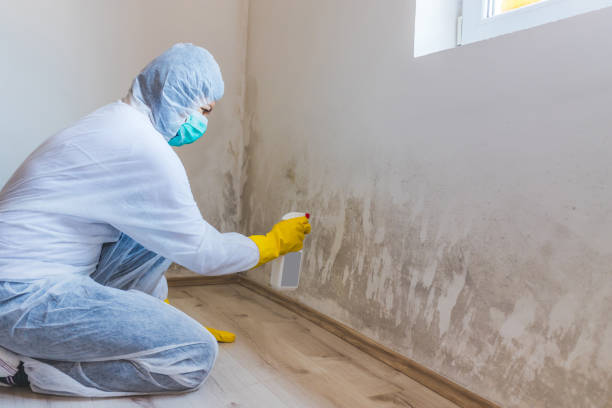 Licensed Crawl Space Mold Removal service in Brunswick, NC - WQB Mold Removal