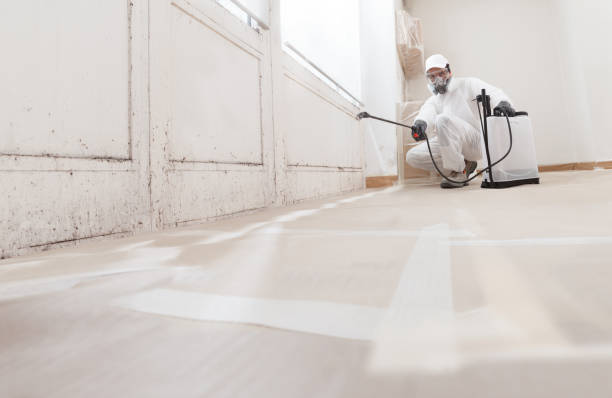 24/7 Emergency Crawl Space Mold Removal experts in Brunswick, NC