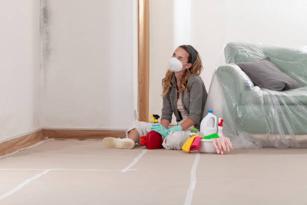Reliable Crawl Space Mold Removal contractor in Brunswick, NC by WQB Mold Removal